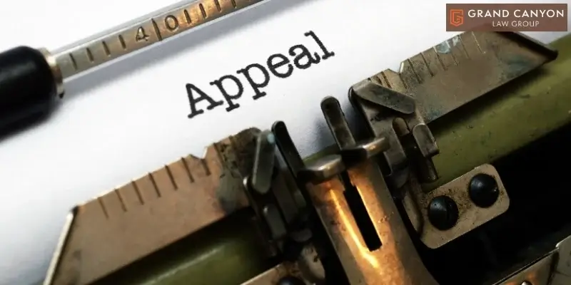 best scottsdale criminal appeals lawyer