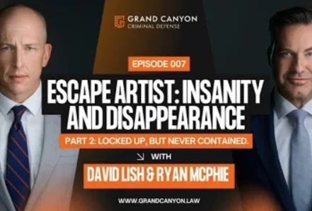 Escape Artist: Insanity And Disappearance