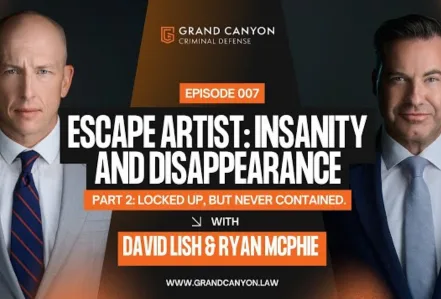 Escape Artist: Insanity And Disappearance – Part 2: Locked Up, But Never Contained.